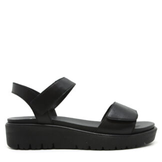 Ara 33518-01 | NOIR